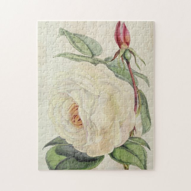 Rose des Vintagen botanischen Präsidenten Puzzle (Vertikal)