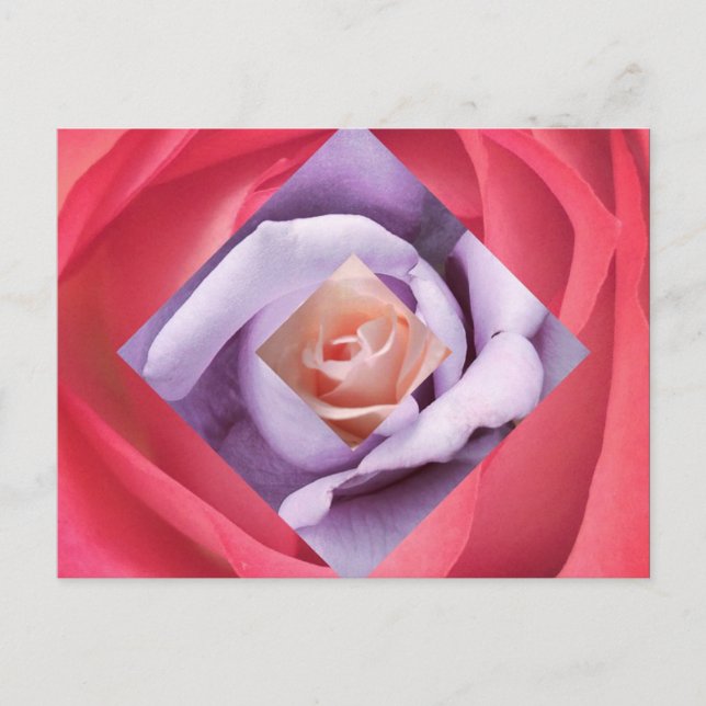 Rose Diamond Postcard Postkarte (Vorderseite)