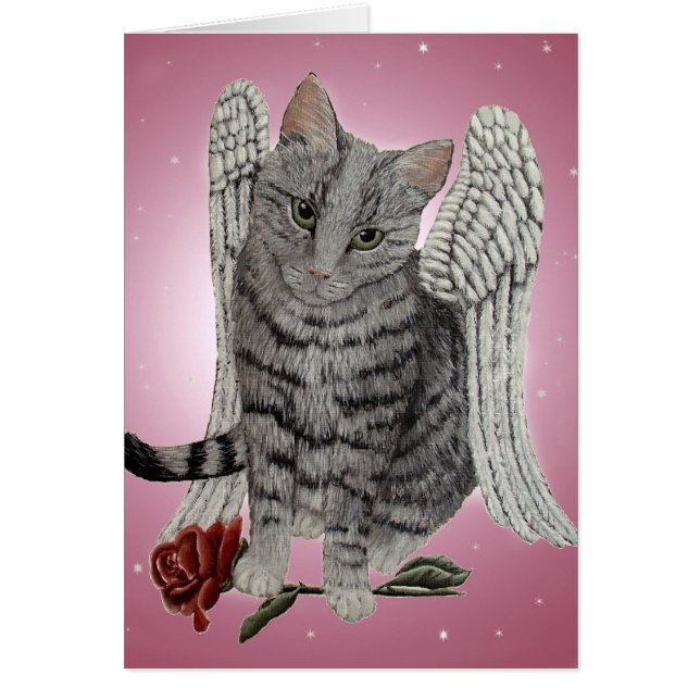Rose, die Angel-Katze (Vorne)