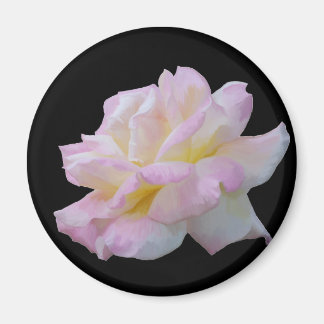 Rose digitales zeichn magnet
