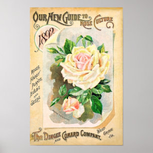 Rose Dingee und Conard Vintag Seed Catalog Poster