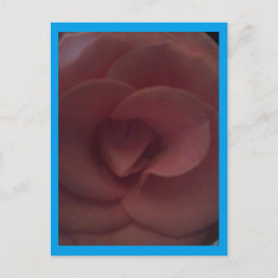 Rose Dragon Postkarte