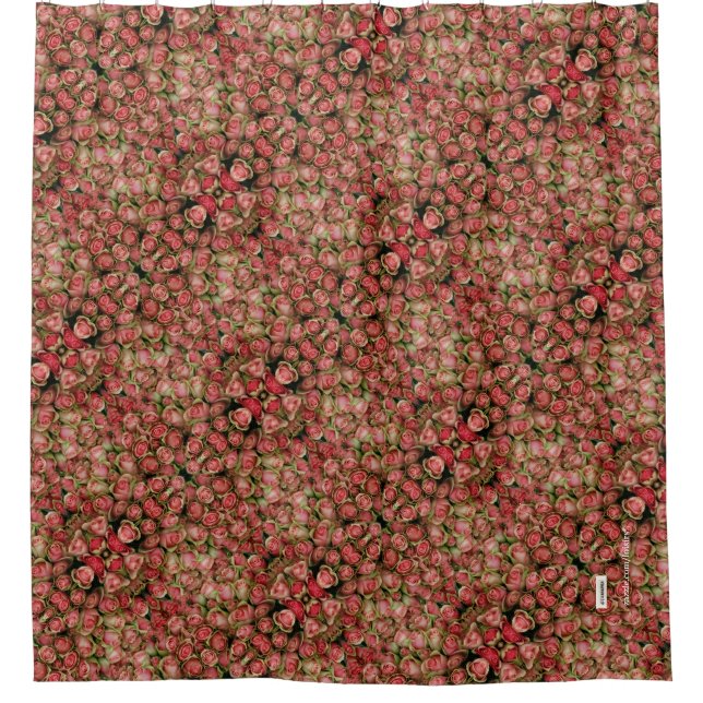 Rose Duschvorhang (Vorderseite)