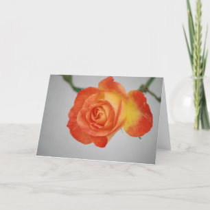 Rose ein Feuer Karte