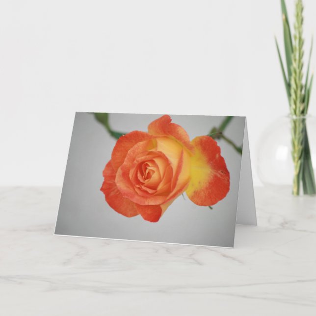 Rose ein Feuer Karte (Vorderseite)