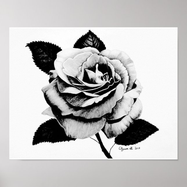 Rose eingeprägt 11x14 Poster (Vorne)