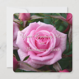 Rose Einladungen Personalisiert rosa rosa RSVP-Kar