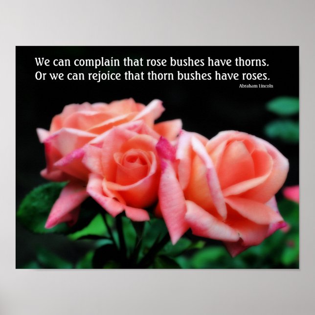 Rose Einstellung Inspiration Zitat Poster (Vorne)