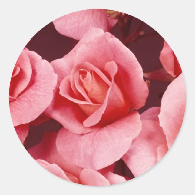 Rose Elegance Sticker (Vorderseite)