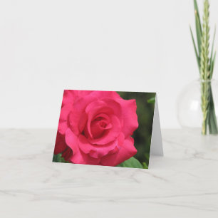 Rose Feiertagskarte
