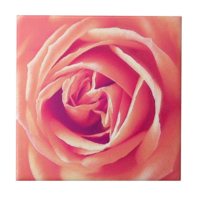 Rose Fliese (Vorderseite)