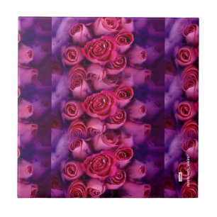 Rose Fliese