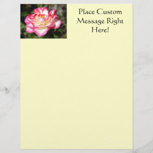 Rose Flyer Vorlage Rosa Gelber Flyer