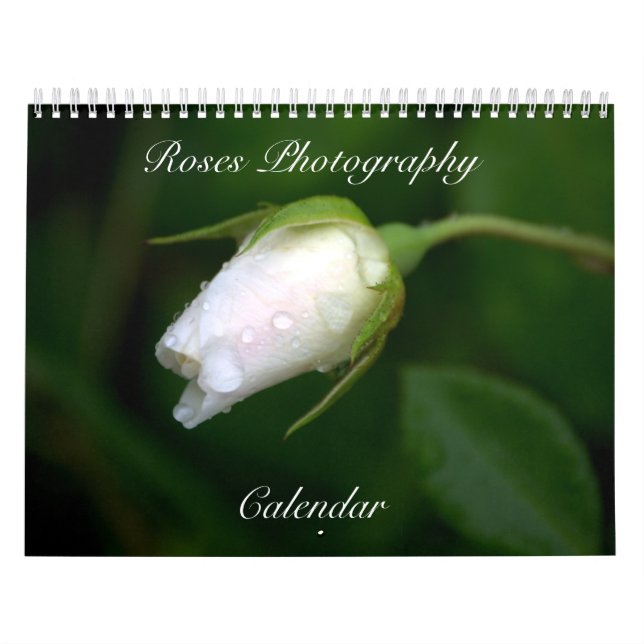 Rose Fotografie Blume Kalender (Titelbild)