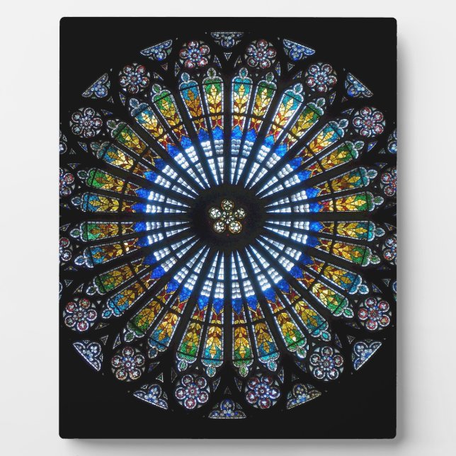 Rose Fotoplatte (Vorderseite)