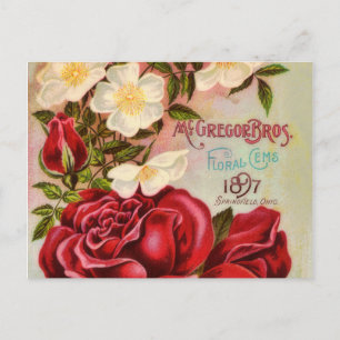 Rose für Blumenspielgeräte Vintage Blume Postkarte