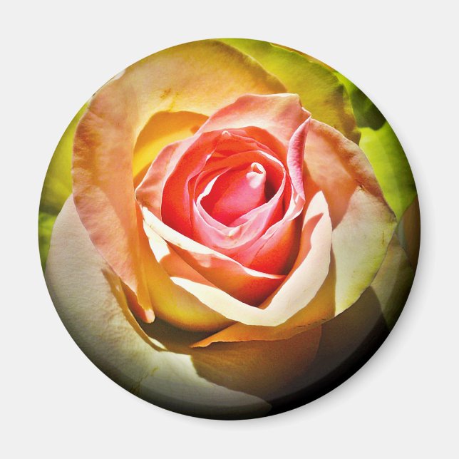 Rose - Für Dich Magnet (Vorne)
