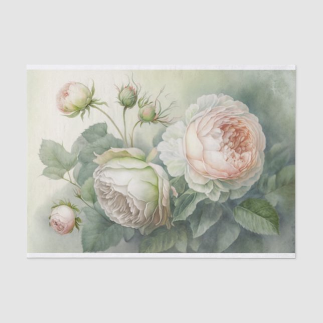 Rose für Frühjahrskabbage Seidenpapier (Vorderseite)