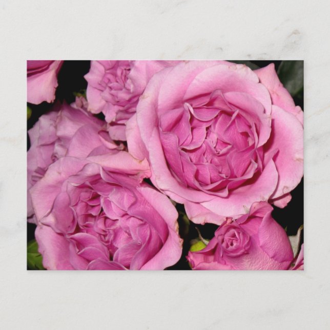 Rose für Mutter Postkarte (Vorderseite)