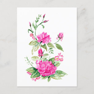 Rose für Wasserfarben in rosa Ziertönen Postkarte