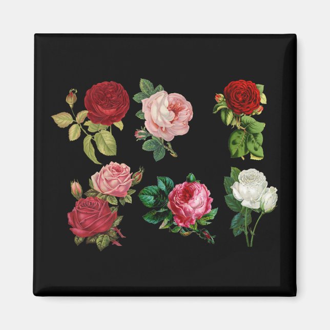 Rose-Galermagnet Magnet (Vorne)