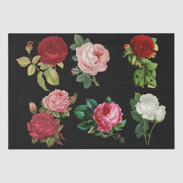 Rose Galvanikpapier Seidenpapier (Vorderseite)