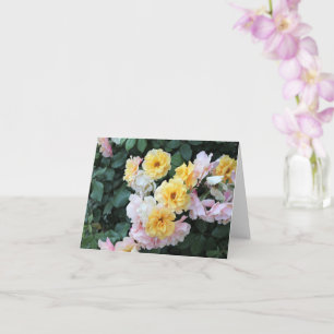 Rose Garden Karte
