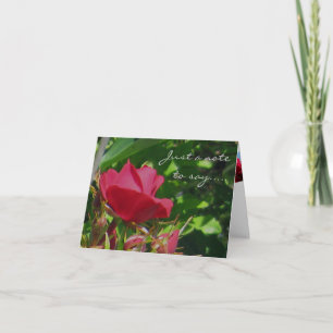 Rose Garden Note Card Karte