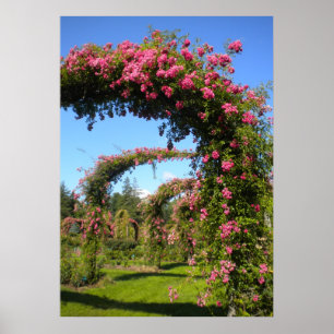 Rose Garden Park Elizabeth Poster
