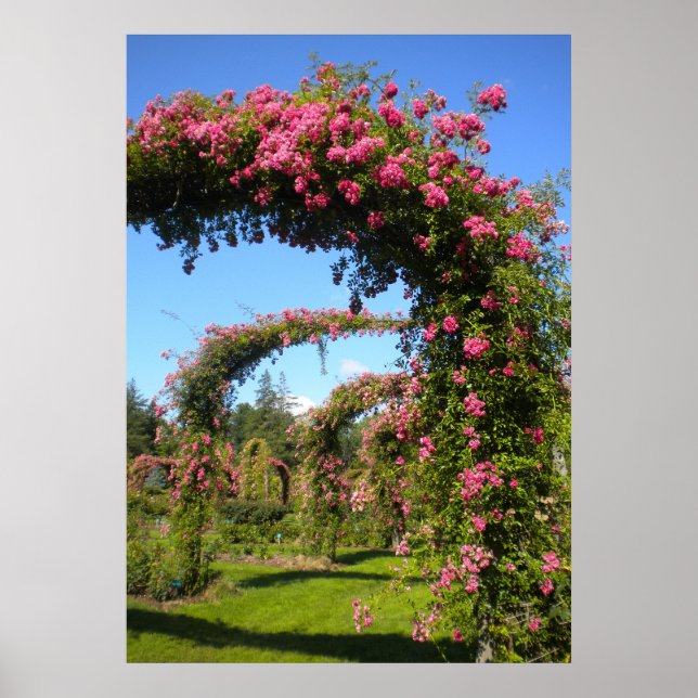 Rose Garden Park Elizabeth Poster (Vorne)