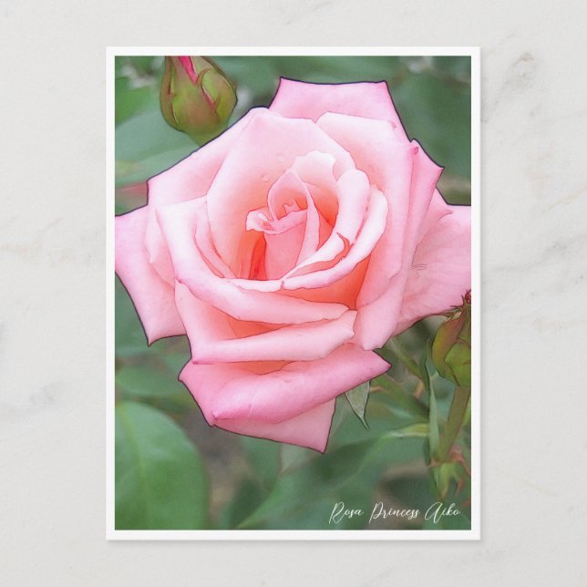 Rose Garden Postkarte (Vorderseite)