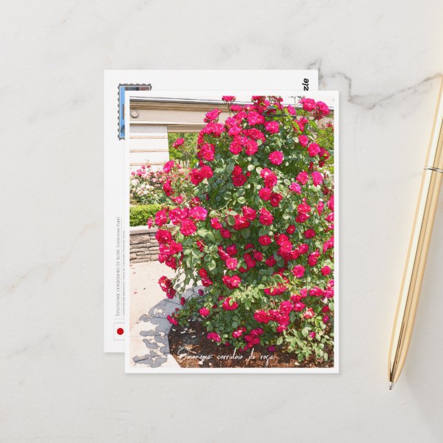 Rose Garden Postkarte (Vorderseite/Rückseite Beispiel)