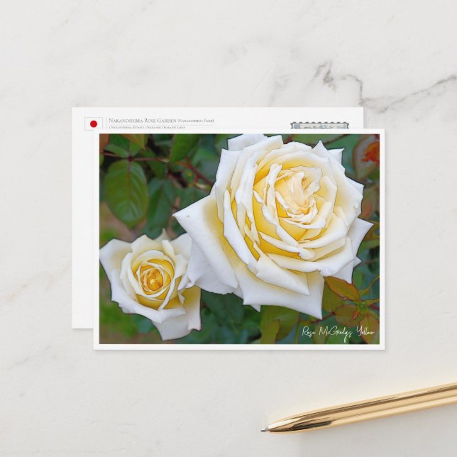 Rose Garden Postkarte (Vorderseite/Rückseite Beispiel)