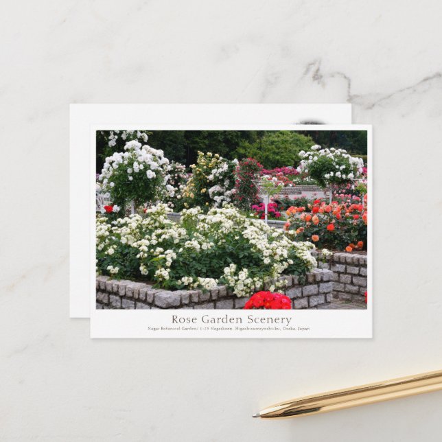 Rose Garden Scenery Postkarte (Vorderseite/Rückseite Beispiel)
