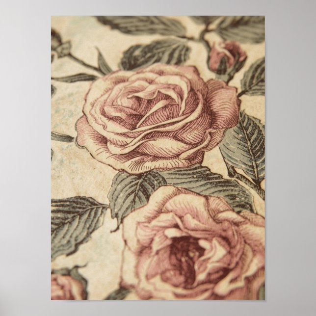 Rose Garden Sketch Poster (Vorne)