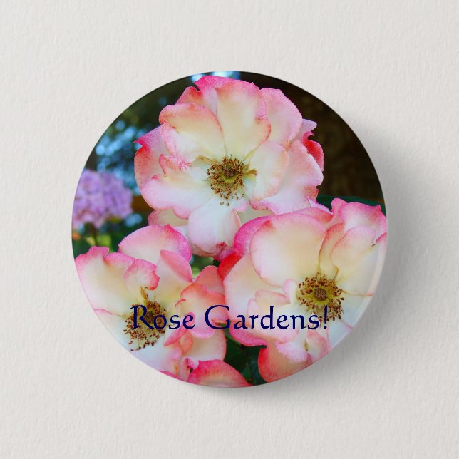 Rose Gärten! Knöpfe Rosensteine Blume Button (Vorderseite)