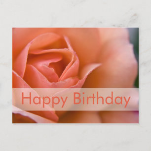Rose Geburtstagskarte Rose Postkarte