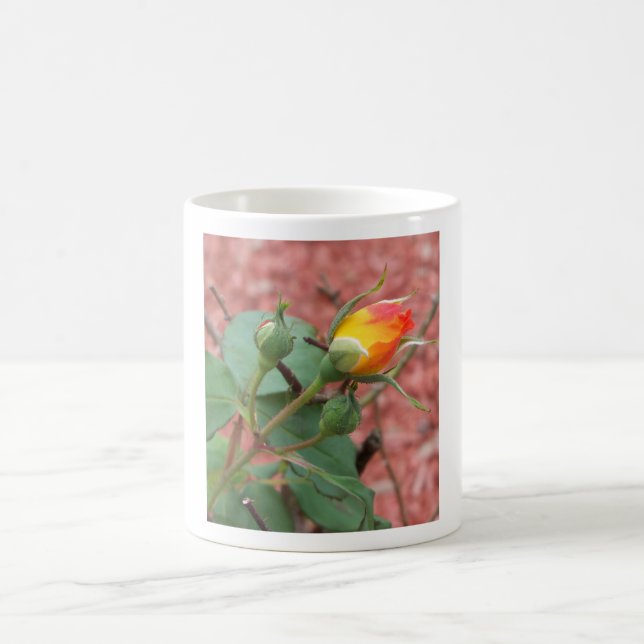 Rose gelb und orange kaffeetasse (Mittel)