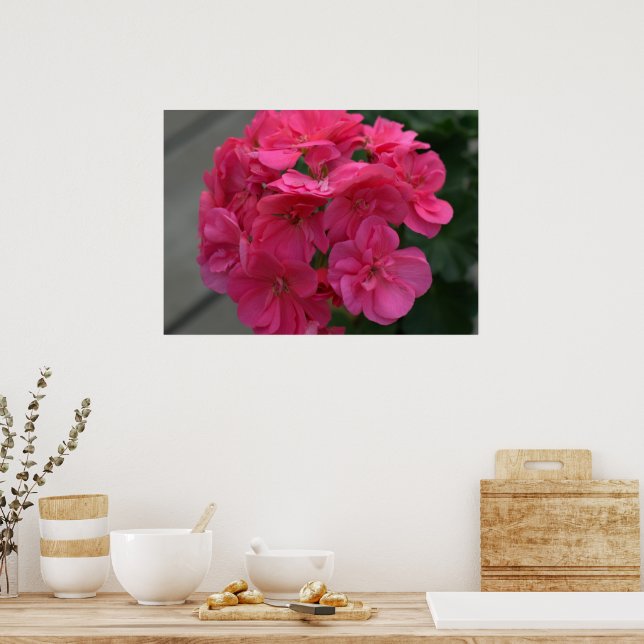 Rose Geranium Blume Poster (Küche)