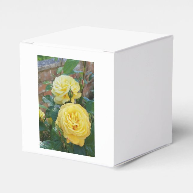 Rose Geschenkschachtel (Vorderseite)