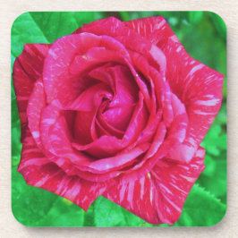 Rose Getränkeuntersetzer
