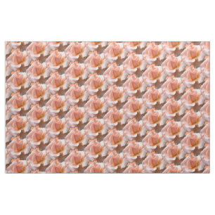Rose Gewebe Peach Wild Rose Gewebe individuell anp Stoff