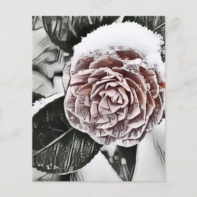 Rose Gezeichnet, gefroren (Vorderseite)