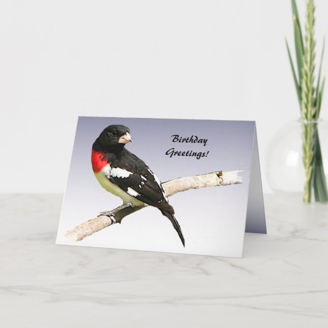 Rose gezüchtet Grosbeak Geburtstag Karte (Vorderseite)