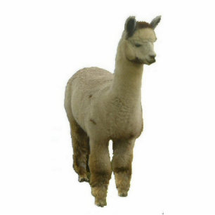 Rose Gray Alpaca Freistehende Fotoskulptur