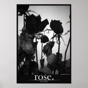 Rose [Grenze] Poster