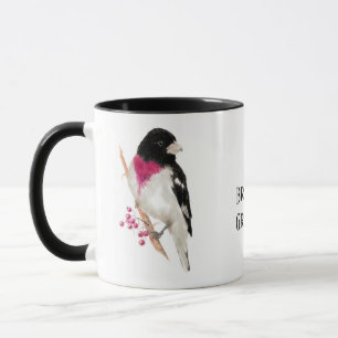 Rose Grosbeak, Vogel, Natur, Tasse