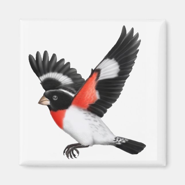 Rose Grosbeak Wild Bird Magnet (Vorne)