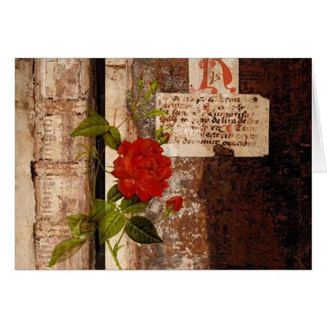 Rose Grunge (Vorderseite (Horizontal))