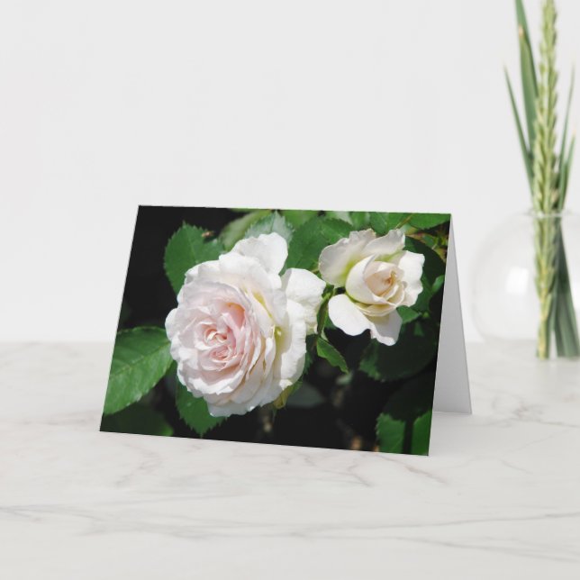 Rose Grußkarte Karte (Vorderseite)